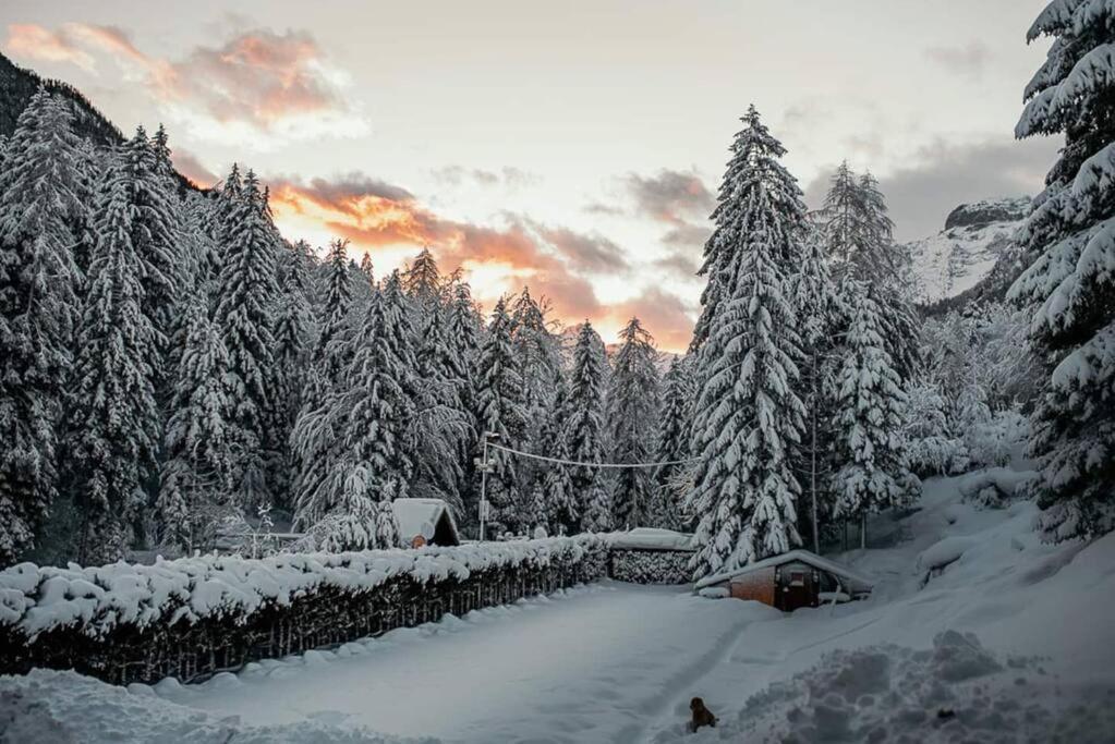 Idyllic Triglav Forest Retreat - Alps, Trails, Lakes, Falls Мойстрана Екстериор снимка